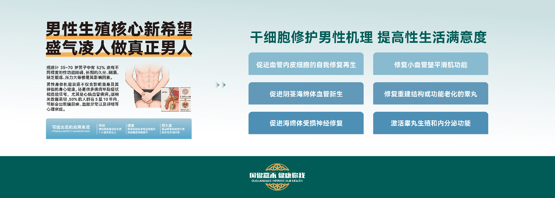 干细胞靶向修复男性机理