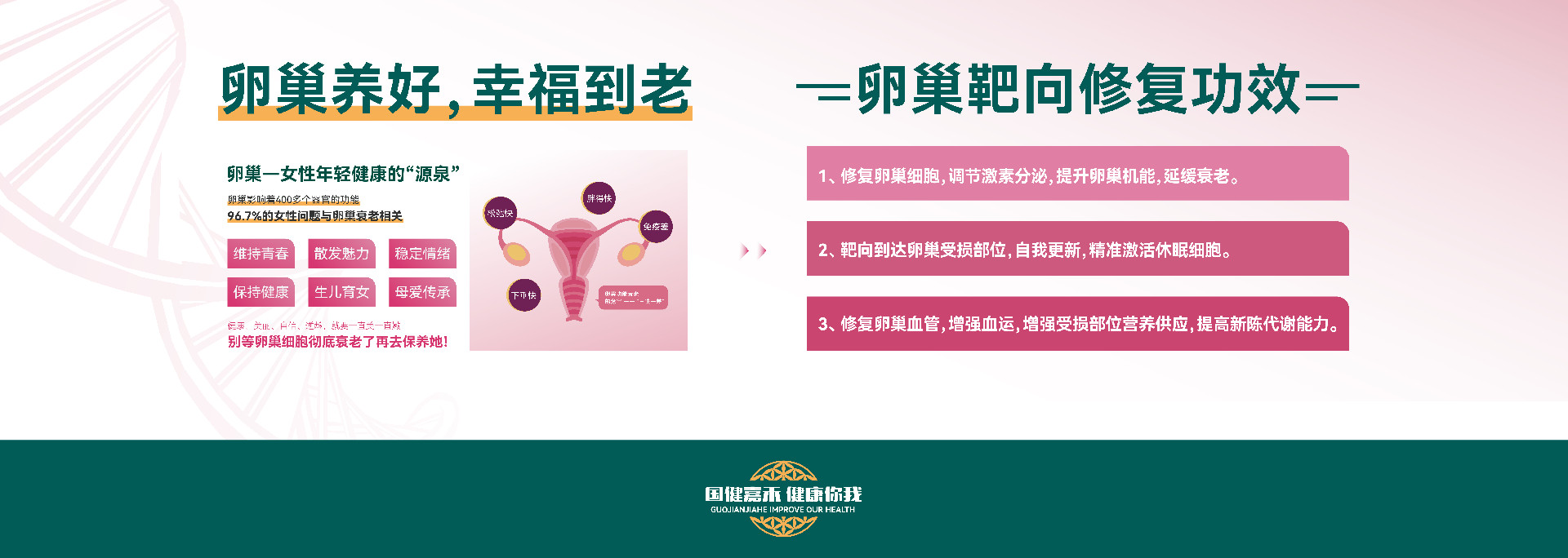 干细胞靶向修复卵巢