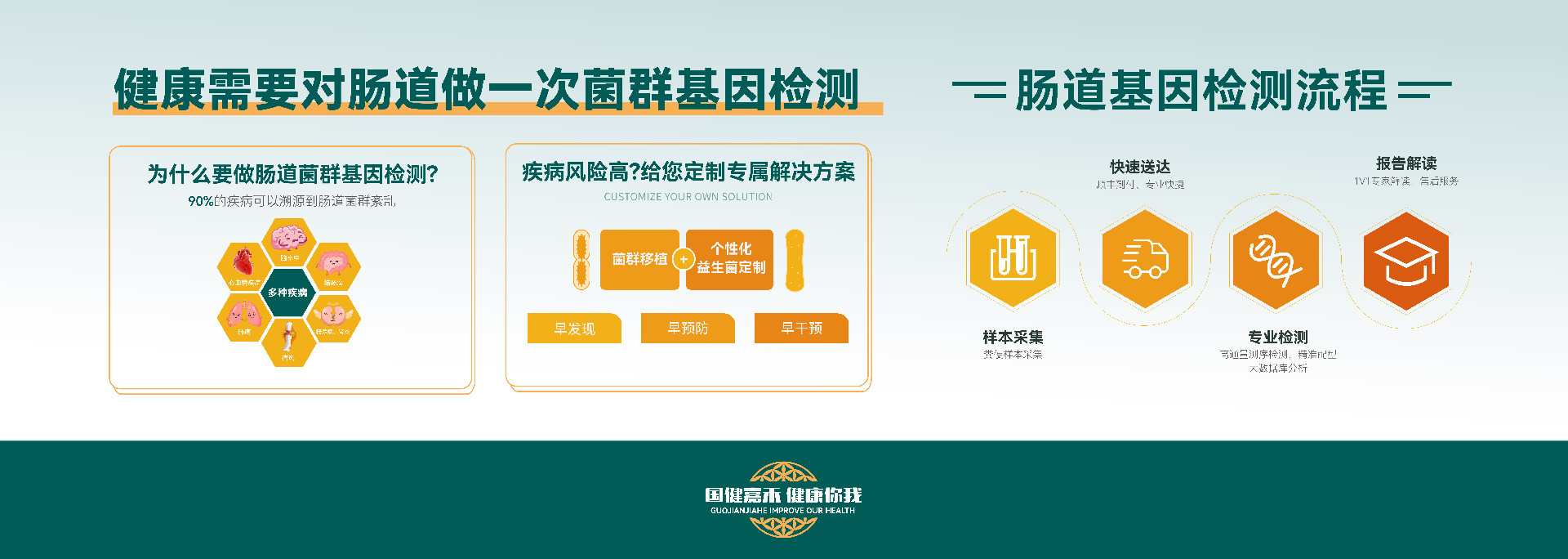 肠道基因检测流程